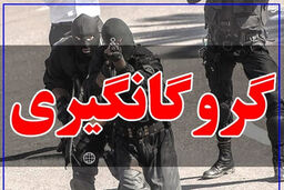انهدام باند پیچیده آدم‌ربایی در جنوب کشور/ کارآگاهان هرمزگان دو نوجوان ربوده‌شده را آزاد کردند